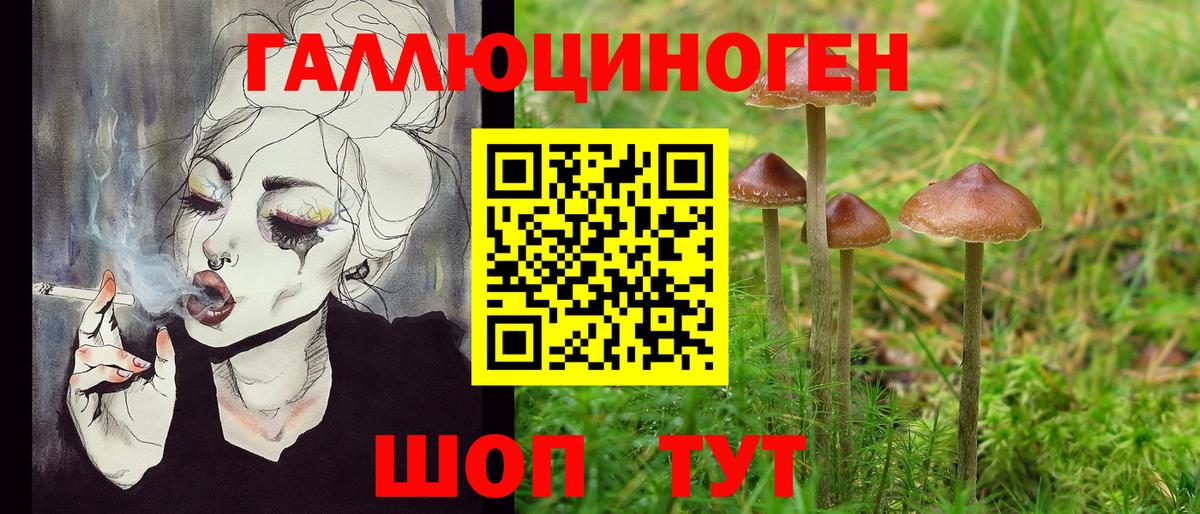 Галлюциногенные грибы Magic Shrooms  Вход с VPN  Галлюциногенные грибы MAGIC MUSHROOMS  Котовск 