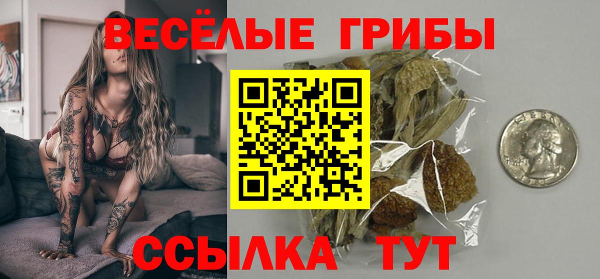 Псилоцибиновые грибы мицелий Котовск